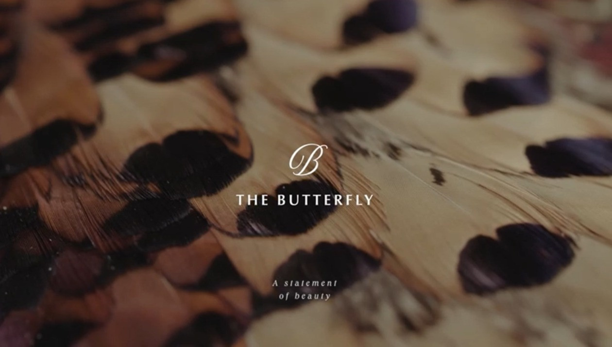 THE BUTTERFLY